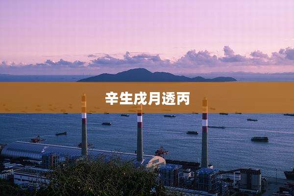 辛生戌月透丙