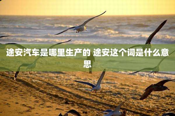 途安汽车是哪里生产的 途安这个词是什么意思