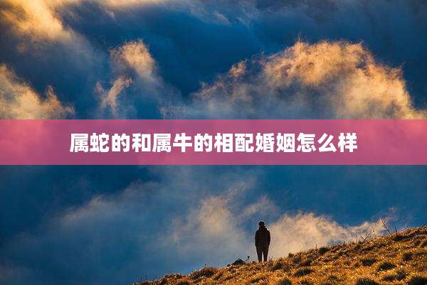 属蛇的和属牛的相配婚姻怎么样