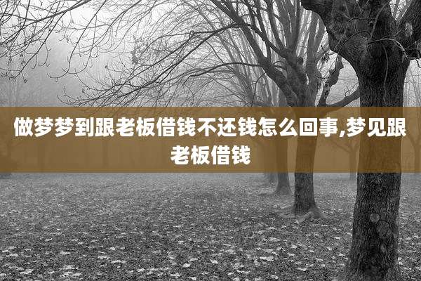 做梦梦到跟老板借钱不还钱怎么回事,梦见跟老板借钱