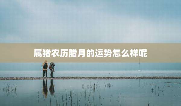 属猪农历腊月的运势怎么样呢