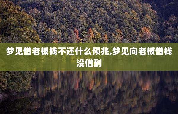 梦见借老板钱不还什么预兆,梦见向老板借钱没借到