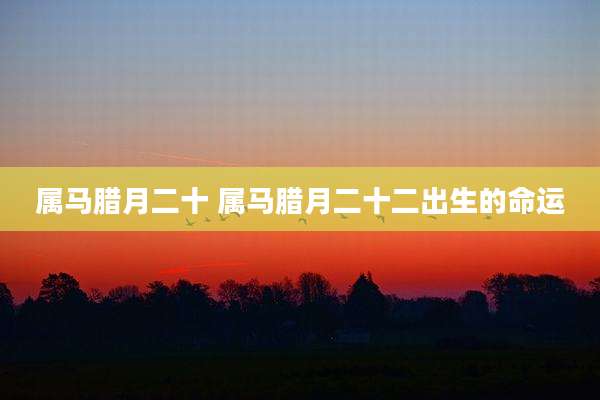 属马腊月二十 属马腊月二十二出生的命运