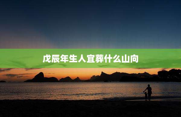 戊辰年生人宜葬什么山向
