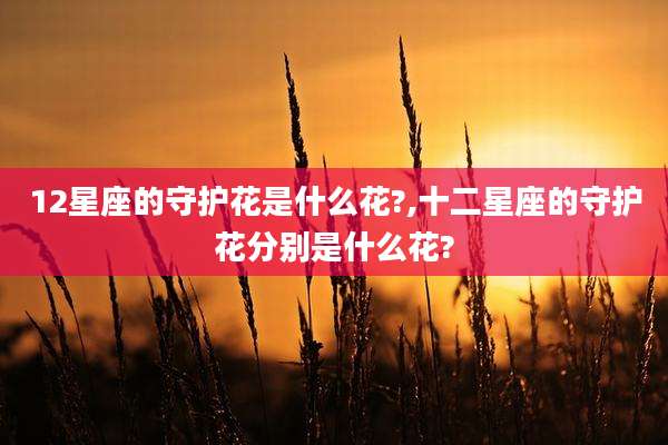 12星座的守护花是什么花?,十二星座的守护花分别是什么花?