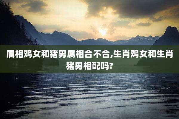 属相鸡女和猪男属相合不合,生肖鸡女和生肖猪男相配吗?