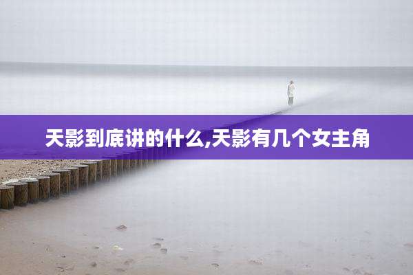 天影到底讲的什么,天影有几个女主角