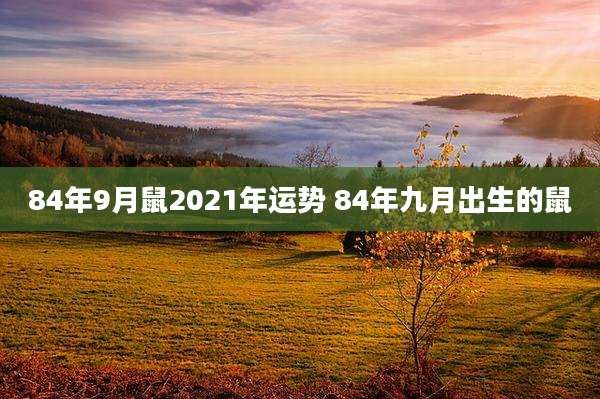84年9月鼠2021年运势 84年九月出生的鼠