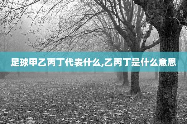 足球甲乙丙丁代表什么,乙丙丁是什么意思
