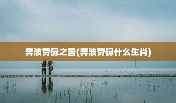 奔波劳碌之苦(奔波劳碌什么生肖)