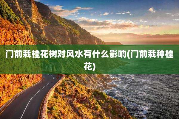 门前栽桂花树对风水有什么影响(门前栽种桂花)