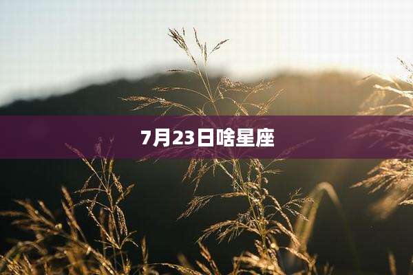 7月23日啥星座