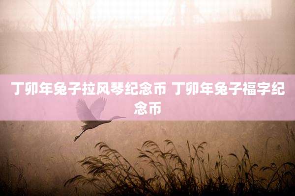 丁卯年兔子拉风琴纪念币 丁卯年兔子福字纪念币