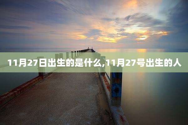 11月27日出生的是什么,11月27号出生的人