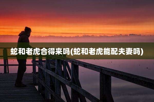蛇和老虎合得来吗(蛇和老虎能配夫妻吗)