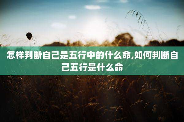 怎样判断自己是五行中的什么命,如何判断自己五行是什么命