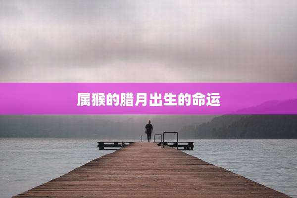 属猴的腊月出生的命运