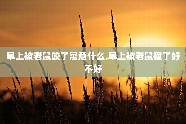 早上被老鼠咬了寓意什么,早上被老鼠撞了好不好
