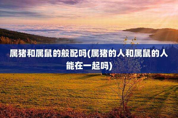 属猪和属鼠的般配吗(属猪的人和属鼠的人能在一起吗)