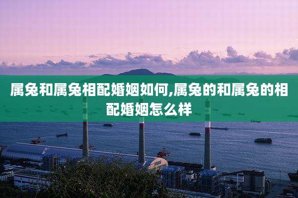 属兔和属兔相配婚姻如何,属兔的和属兔的相配婚姻怎么样