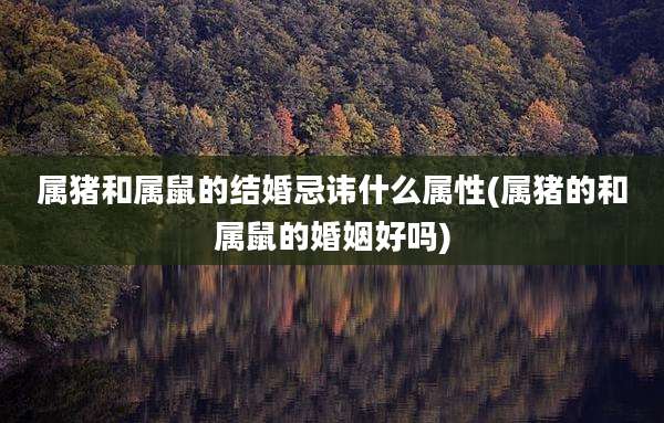 属猪和属鼠的结婚忌讳什么属性(属猪的和属鼠的婚姻好吗)