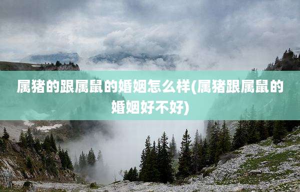 属猪的跟属鼠的婚姻怎么样(属猪跟属鼠的婚姻好不好)