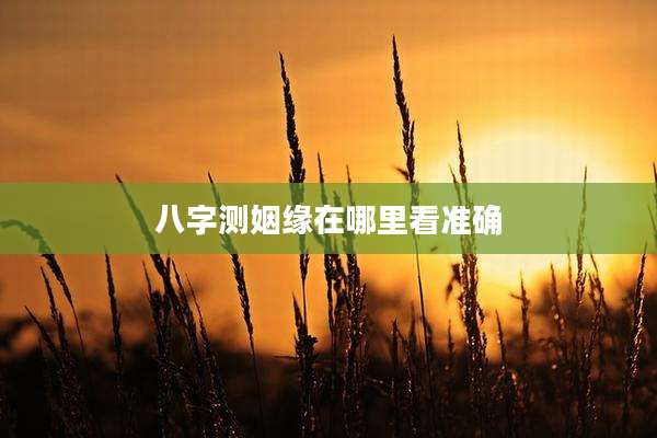 八字测姻缘在哪里看准确