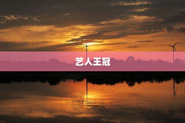 艺人王冠