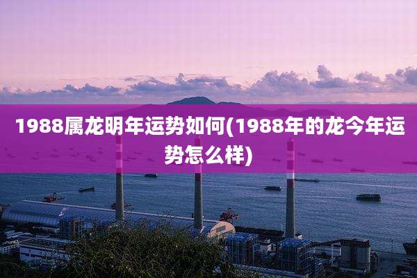 1988属龙明年运势如何(1988年的龙今年运势怎么样)