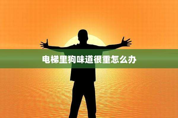 电梯里狗味道很重怎么办