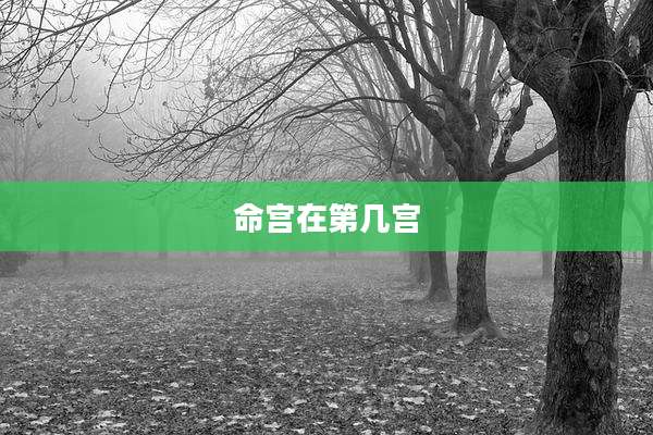 命宫在第几宫
