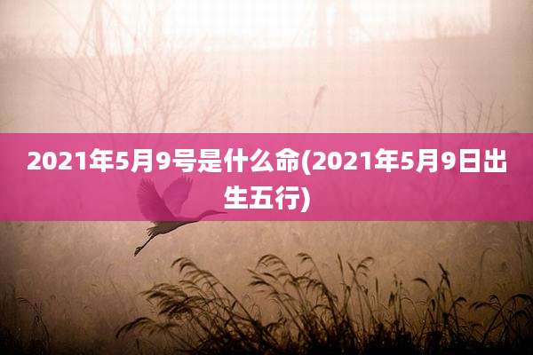 2021年5月9号是什么命(2021年5月9日出生五行)