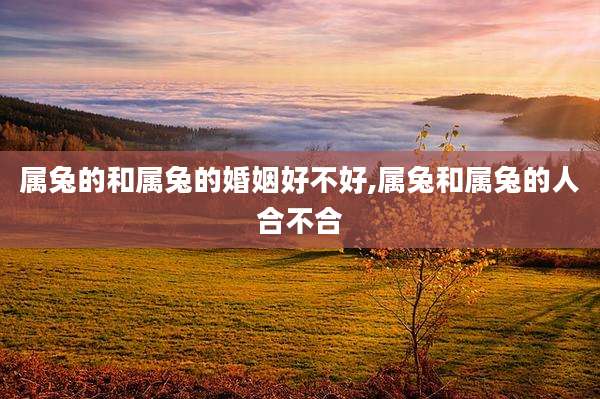 属兔的和属兔的婚姻好不好,属兔和属兔的人合不合