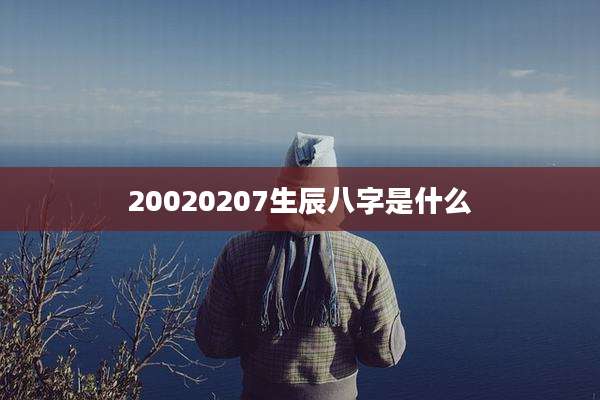 20020207生辰八字是什么