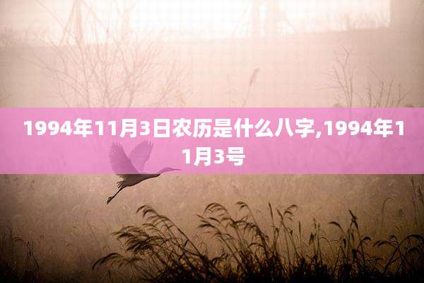 1994年11月3日农历是什么八字,1994年11月3号
