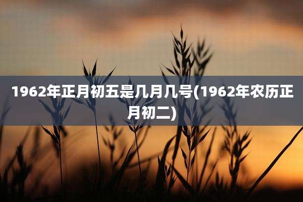 1962年正月初五是几月几号(1962年农历正月初二)
