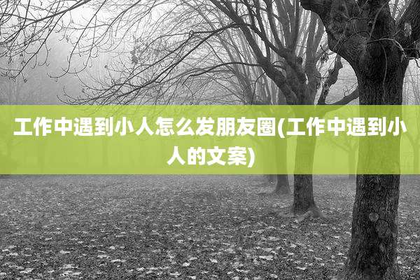 工作中遇到小人怎么发朋友圈(工作中遇到小人的文案)
