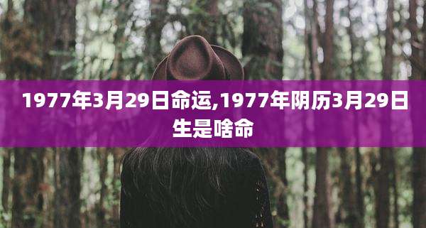 1977年3月29日命运,1977年阴历3月29日生是啥命
