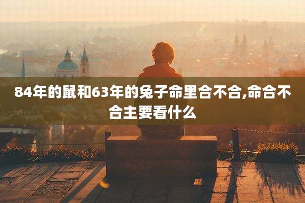 84年的鼠和63年的兔子命里合不合,命合不合主要看什么