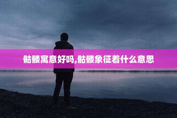 骷髅寓意好吗,骷髅象征着什么意思