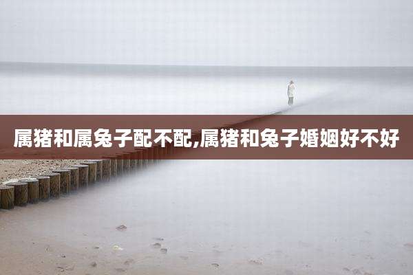 属猪和属兔子配不配,属猪和兔子婚姻好不好