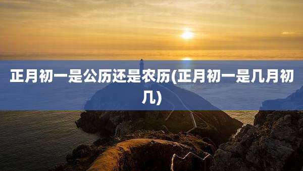正月初一是公历还是农历(正月初一是几月初几)