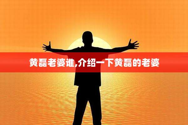 黄磊老婆谁,介绍一下黄磊的老婆