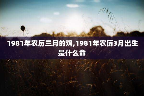 1981年农历三月的鸡,1981年农历3月出生是什么命