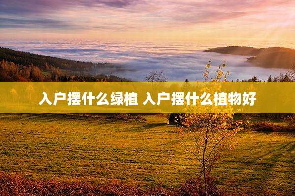 入户摆什么绿植 入户摆什么植物好