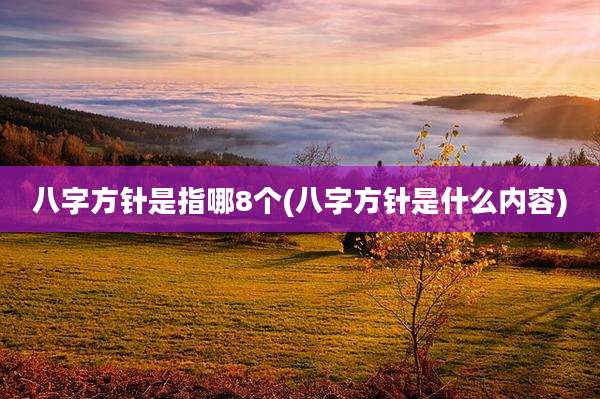 八字方针是指哪8个(八字方针是什么内容)