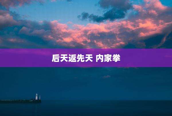 后天返先天 内家拳
