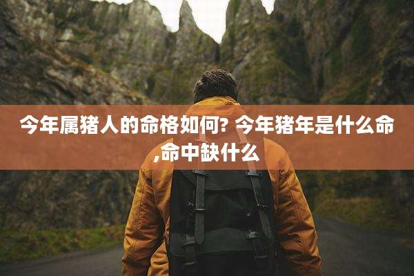今年属猪人的命格如何? 今年猪年是什么命,命中缺什么