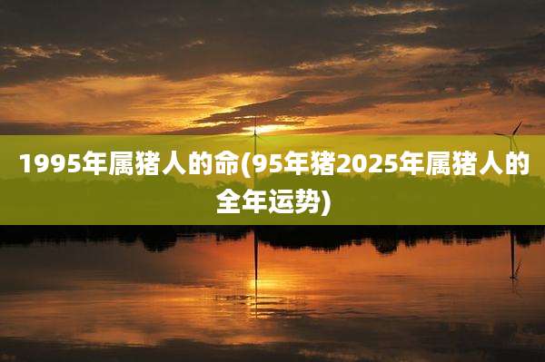 1995年属猪人的命(95年猪2025年属猪人的全年运势)