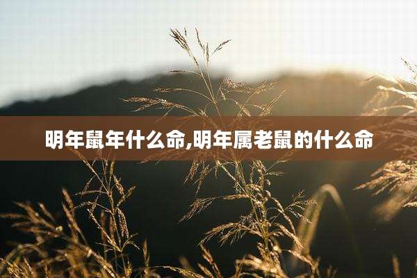 明年鼠年什么命,明年属老鼠的什么命